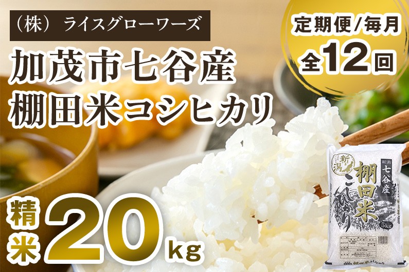
                  【令和8年産新米先行予約】【定期便12ヶ月毎月お届け】七谷産 棚田米コシヒカリ 精米 20kg（5kg×4）《10月上旬～順次出荷》白米 （株）ライスグローワーズ 新潟県 加茂市産 白米 米 お米 定期便
                