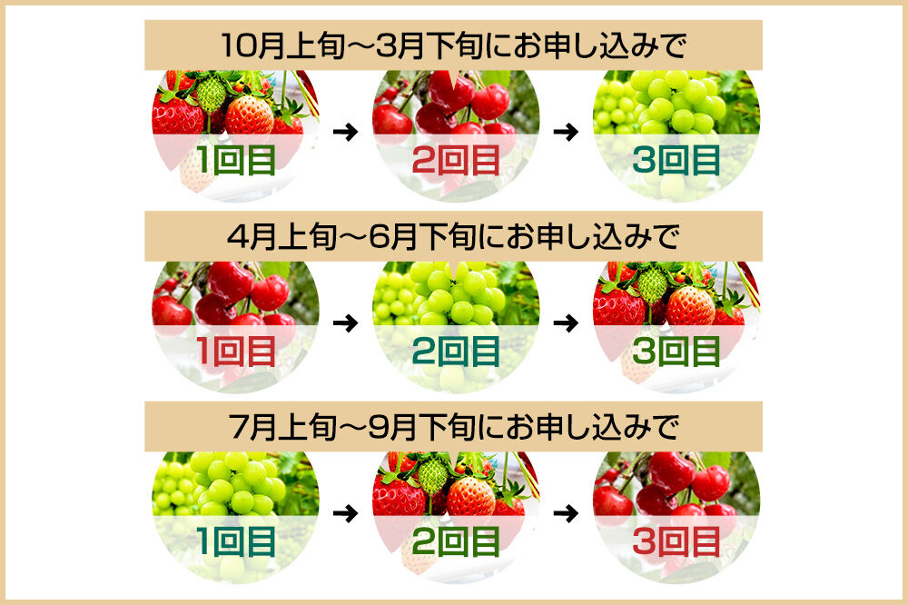 《一部地域限定配送》3回お届け！原田農園のフルーツ定期便 シャインマスカット→いちご→さくらんぼ [苺 いちご イチゴ さくらんぼ サクランボ しゃいんますかっと シャインマスカット]