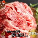 【ふるさと納税】おおいた和牛 切り落とし 1200g 牛肉 豊後牛 ブランド牛 焼肉 焼き肉 すき焼き 牛丼 炒め物 冷凍 大分県産 九州産 中津市 国産 送料無料／熨斗対応可 お歳暮 お中元 など