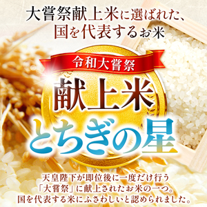 ココイチ ポークカレー5個 ＆ 矢板市産 パックごはん8個 レンチンセット