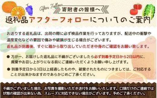 【ご家庭用訳あり】紀州有田産 すっきり爽やか 甘夏みかん 8kg  ※2026年3月上旬頃〜2026年3月下旬頃に順次発送予定 / 甘夏 あまなつ みかん ミカン 蜜柑 温州みかん 柑橘 フルーツ 果