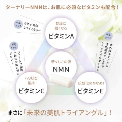 ふるさと納税 伊豆市 ターナリーNMN(60粒入パウチ)×2袋 |  | 03
