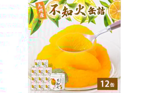 不知火缶詰 12缶入 フルーツ しらぬい 保存食 備蓄																																 																																			
