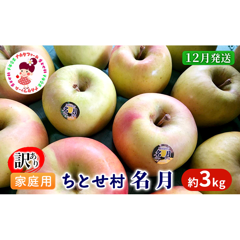 【12月発送】訳あり 家庭用 ちとせ村 名月 約3kg【弘前市産・青森りんご】