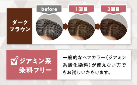 シエロ カラートリートメント 全体用 ダークブラウン 3個 / CIELO 白髪染め セルフカラー ヘアケア / 瀬戸市 / ホーユー株式会社 [BBEL007]
