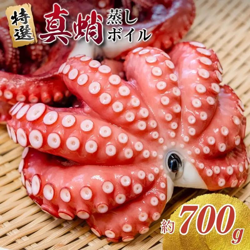 たこ 蒸しボイルたこ 約700g 1尾 【hane0009】