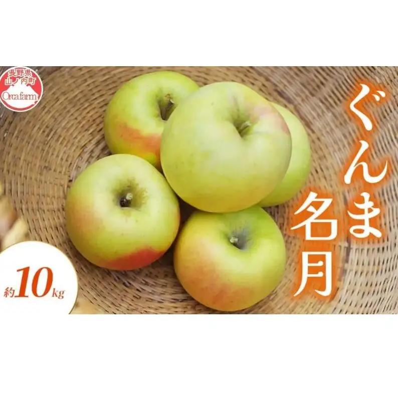 りんご ぐんま名月 10kg りんご