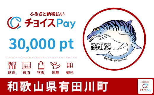 
                  有田川町チョイスPay 30,000pt【会員限定のお礼の品】
                