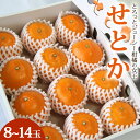 【ふるさと納税】とろっとジューシー せとか 約3kg（8～14玉）秀品・丸秀品混合 - 果物 果実 くだもの フルーツ ミカン 蜜柑 みかん 柑橘類 先行予約受付中 期間限定 季節限定 熨斗 のし対応可 贈答用 贈り物 おくりもの ギフト プレゼント 高知県 香南市【常温】ku-0029