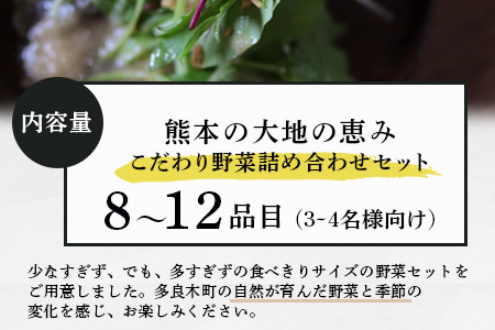 熊本の大地の恵み 旬の こだわり野菜詰め合わせセット 8〜12品 （3〜4名様向け）野菜 獲れたて 新鮮 野菜 セット 詰め合わせ 詰合せ 産地 直送 国産 季節 野菜 家族 ファミリー 多良木町 0