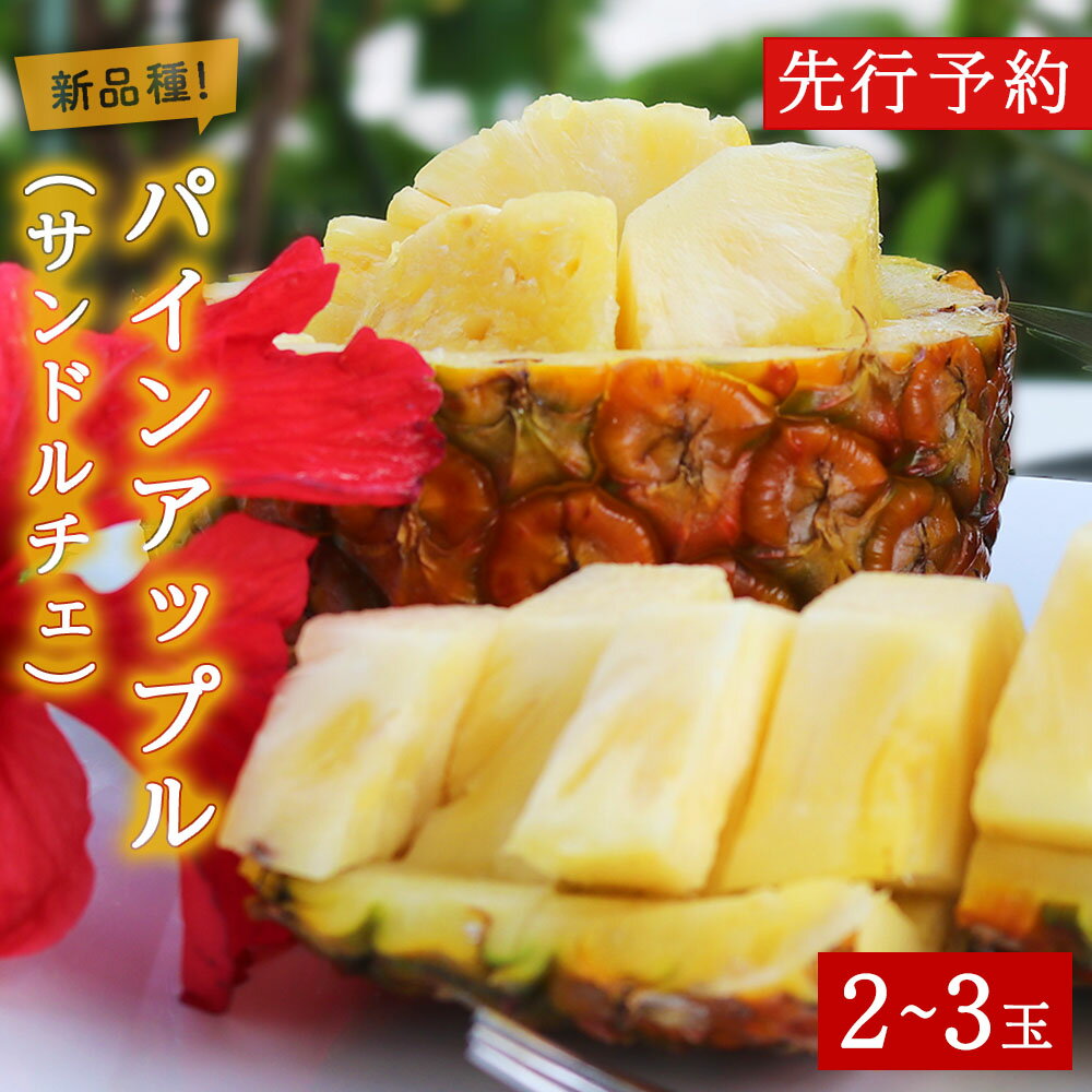 【ふるさと納税】 【2026年7月～8月頃配送】今帰仁産パインアップル（サンドルチェ）2～3玉　先行予約