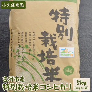 【令和7年産】古河市産 特別栽培米コシヒカリ5kg【小久保農園】｜  米  _AS05