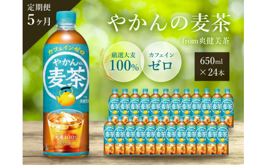 【5か月定期便】やかんの麦茶 from 爽健美茶 PET 650ml×24本(1ケース) ペットボトル お茶 むぎ茶 飲料 カフェインゼロ 箱買い まとめ買い 防災 備蓄 014008