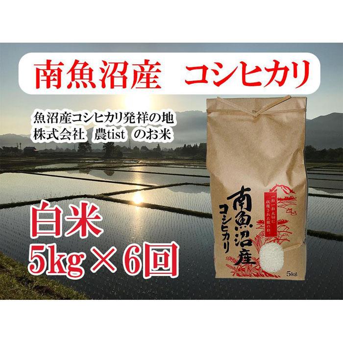 【ふるさと納税】【令和7年産】【定期便 南魚沼産】コシヒカリ 白米5kg×6回【定期便 銘柄米 ブランド米 精米 こしひかり コシヒカリ 魚沼産 新潟米 産地直送 お米 米 こめ コメ ご飯 御飯 ごはん】