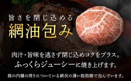 白老牛 中おちプレミアムハンバーグ （リブインハンバーグ）10個【かねかん】