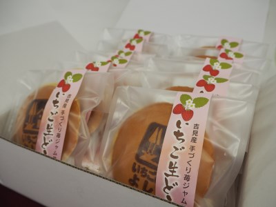 【有限会社いちごの里よしみ観光協会】道の駅いちごの里よしみ限定販売　いちご生どら焼き１２個セット