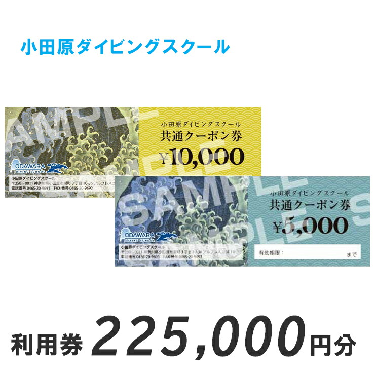 小田原ダイビングスクール 共通クーポン券 225,000円分【 神奈川県 小田原市 】