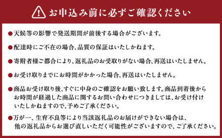 【年3回定期便】熊本の人気フルーツ堪能定期便（1月・5月・10月発送） 熊本県産 果物 毎月お届けギフト 