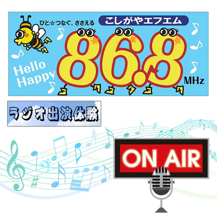 【ふるさと納税】お祝い＆ありがとうメッセージをラジオでプレゼント【ラジオ出演体験】3分 ／ こしがやエフエム サプライズ演出 プロポーズ 還暦祝い お誕生日 母の日 父の日 送料無料 埼玉県 No.257