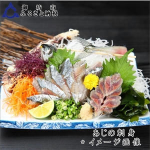 御坊産　鮮魚セット5kg【配送不可地域】沖縄・北海道・東北・九州
