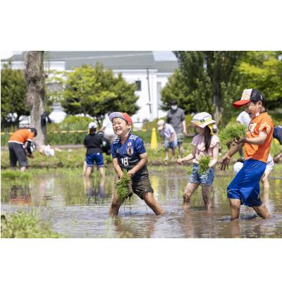 ふるさと納税 鏡石町 かがみいし田んぼアート産の福島県オリジナル品種「天のつぶ」　5kg×2袋 |  | 03