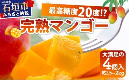 《2026年6月下旬～7月発送》最高糖度20度！？ 石垣島産完熟マンゴー！大満足の４個入り