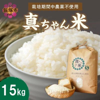 ふるさと納税 飯塚市 【令和7年産】栽培期間中農薬・化学肥料不使用 真ちゃん米(精米) 15kg