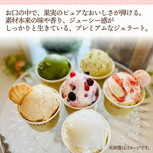 【先行受付5月GW頃から発送】プレミアム ジェラート 6個 セット ジェラート