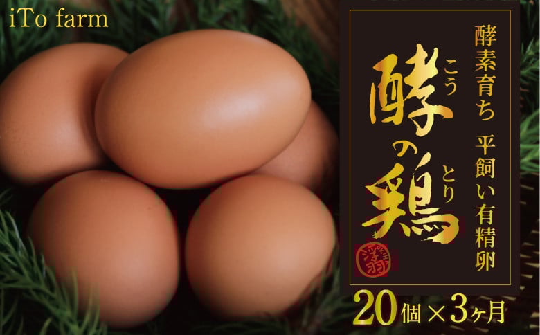 
            【3ヶ月定期便】iTo farm 酵の鶏 20個×3ヶ月お届け  鶏の卵 たまご 卵 玉子 タマゴ 鶏卵 オムレツ 卵かけご飯 朝食 料理 たまご焼き 福岡県 うきは市
          