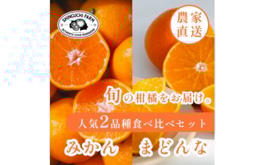 2025年発送 愛媛みかん旬の食べ比べ みかん2kg・まどんな2kg＜C70-36＞【1536339】