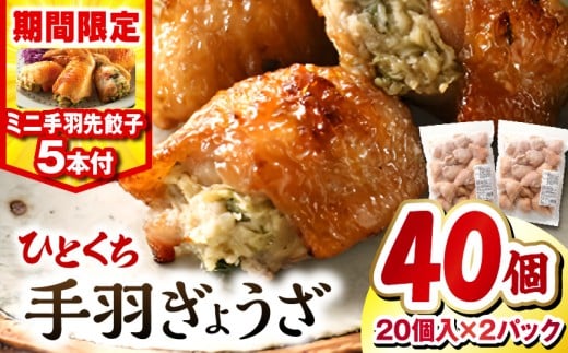 【2026年1月発送】【期間・数量限定】ひとくち手羽ぎょうざ 計40個(20個入×2)・手羽先餃子(小サイズ5本)| 餃子 手羽 てば 肉 お肉 手羽先 手羽先餃子 宮崎餃子 ご当地 グルメ ご当地グルメ おつまみ おかず 中華料理 焼き餃子 揚げ餃子 鶏肉 豚肉 牛肉 一口 ひとくち 一口サイズ 冷凍 宮崎 宮崎市 ｜_M025-005-B-jan