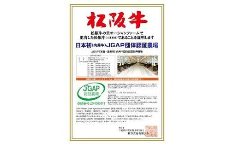 【6-46】松阪牛ヒレ焼肉用（500g）