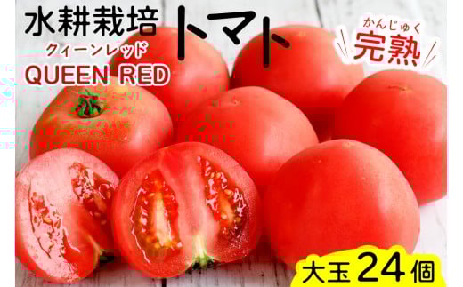 [予約受付] 水耕栽培トマト大玉 定期便 3回 (ご入金翌月から発送開始)｜甘い 新鮮 完熟 とまと 大玉 直送 野菜 リコピン サラダ イタリアン [0816]