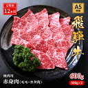 【ふるさと納税】【定期便12ヶ月】牛肉 飛騨牛 焼き肉 セット 赤身 モモ 又は カタ 600g 黒毛和牛 A5 美味しい お肉 牛 肉 和牛 焼肉 BBQ バーベキュー 【岐阜県池田町】　定期便