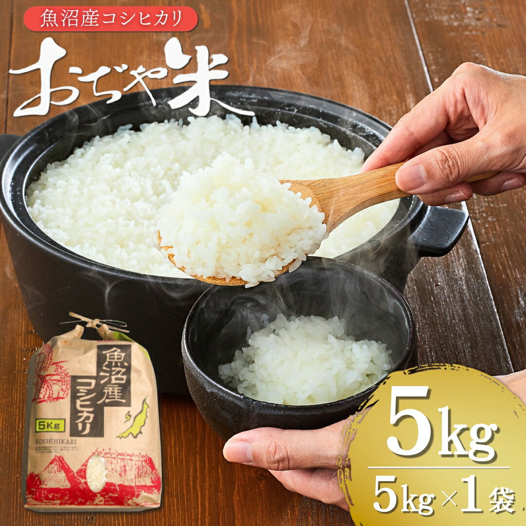 【ふるさと納税】令和7年産 魚沼産コシヒカリ 5kg クラフト袋 米 お米 こしひかり 魚沼 白米 精米 新潟県産 JA魚沼 【0002-JA03-02】