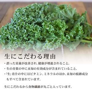 【6回定期便】【冷凍生】遠藤青汁2箱5.6kg(100g×56袋) 国産 ケール100%