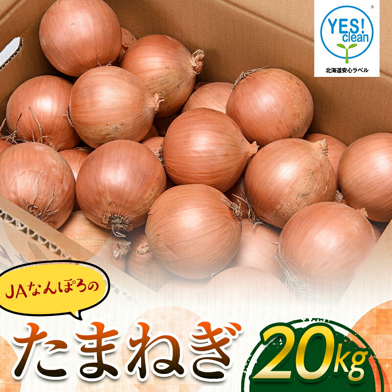 【ふるさと納税】北海道産 たまねぎ 20kg 農薬40％以上削減 YES!clean 北海道南幌町産 NP1-272