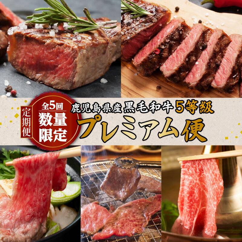 【ふるさと納税】【 全5回 ・ 数量限定 】 鹿児島県産 黒毛和牛 5等級 「 プレミアム 便 」 定期便 肉質等級5等級 和牛 国産牛 牛肉 ステーキ すき焼き 焼肉 しゃぶしゃぶ ヒレ サーロイン 肩ロース モモ 国産 鹿児島市 送料無料