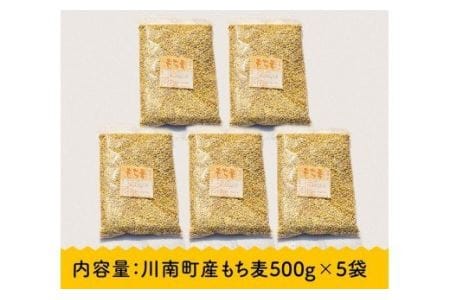 令和8年産 もち麦500g×5袋 【 ふるさと納税 国産 麦 もち麦 食物繊維 数量限定 宮崎県産 川南町産 送料無料 】