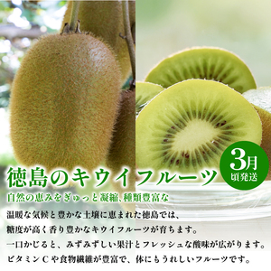 フルーツ 定期便 全3回 フルーツ定期便