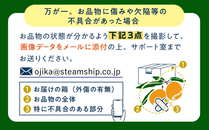 【先行予約】【化粧箱入り】 びわ Mサイズ ビワ 長崎県 小値賀町 大島 【2026年6月発送】【神川農園】  [DBT005]