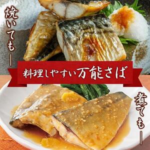 【ご家庭用】塩さばフィレ2kg