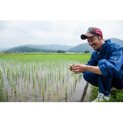 ふるさと納税 長浜市 【令和6年産】滋賀県長浜市　在来種　しっかり粒感を味わえる滋賀旭　2Kg　白米 |  | 02