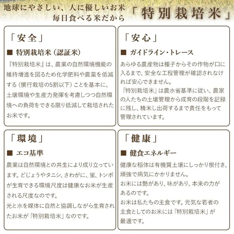 【令和7年産】米の里の特別栽培米 コシヒカリ 精米 6kg(2kg×3袋)　山形県鶴岡市産　K-763