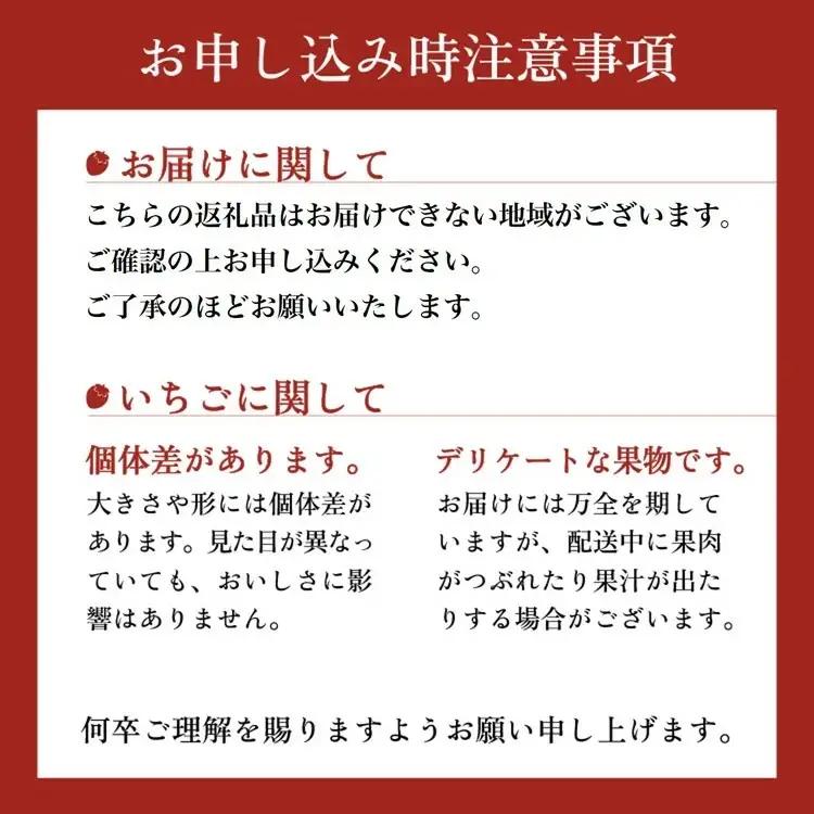 高級いちご 完熟スカイベリー2パック 580g アフター対応あり いちご ※2026年12月～発送