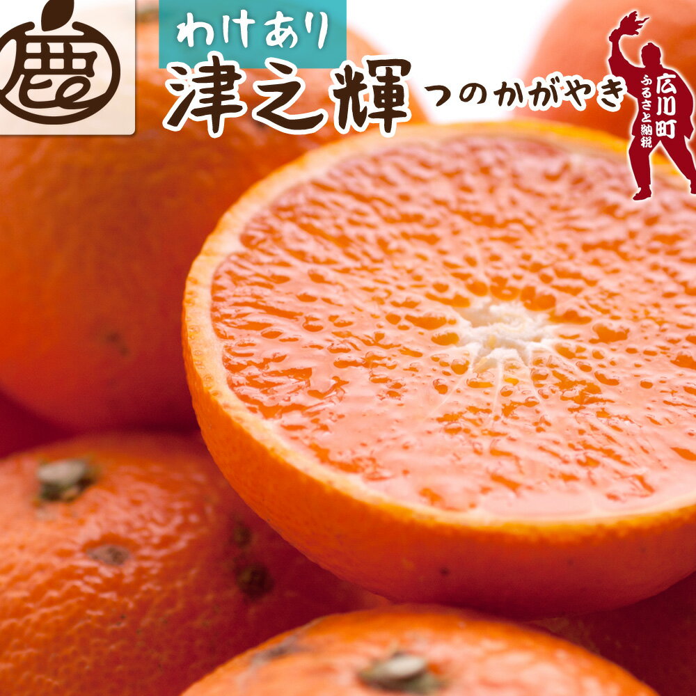 【ふるさと納税】 津之輝 家庭用 光センサー 選果 / 訳あり 甘い つのかがやき 和歌山 柑橘 1kg 5kg 10kg ※2月上旬〜3月下旬頃に順次発送予定 ※北海道・沖縄・離島への配送不可 //dekopon