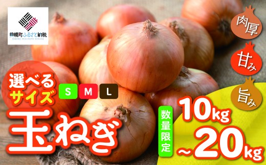 【数量限定訳あり品】玉ねぎＳサイズ・10kg（2026年2月から順次発送） 【 ふるさと納税 人気 おすすめ ランキング 玉ねぎ たまねぎ タマネギ 訳あり 野菜 わけあり 北海道 美幌町 送料無料 】 BHRG147