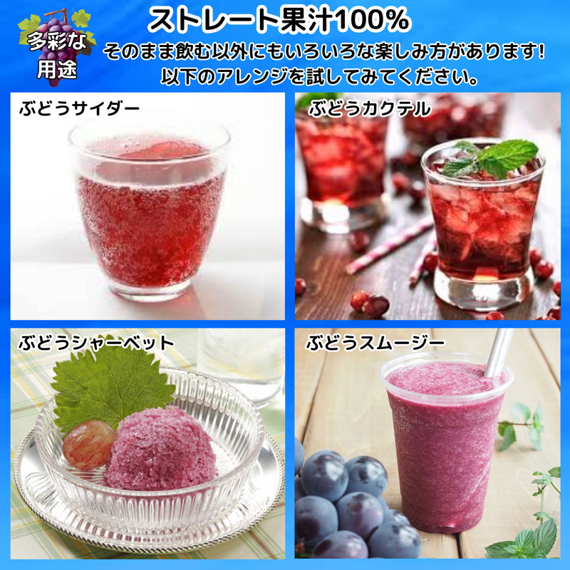 ぶどうジュース 紙パック 1L × 4本入り 化粧箱入り 無添加 ストレート果汁 100% 【 スチューベンジュース 葡萄 青森県産 産地直送 1000ml 4本セット 】