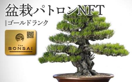 NFT クラウドファンディング 盆栽パトロン 高松盆栽 支援 非日常体験 盆栽パトロンNFT ゴールドランク【T183-001】