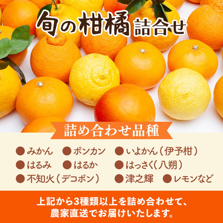 ＜1月より発送＞厳選 柑橘詰合せ2.5kg+250g（傷み補償分）◇【有田の春みかん詰め合わせ・フルーツ詰め合せ・オレンジつめあわせ】【光センサー選別】 ※北海道・沖縄・離島への配送不可 ※2026年1月上旬～4月下旬頃に順次発送予定
